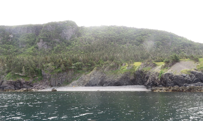 Capelin Cove