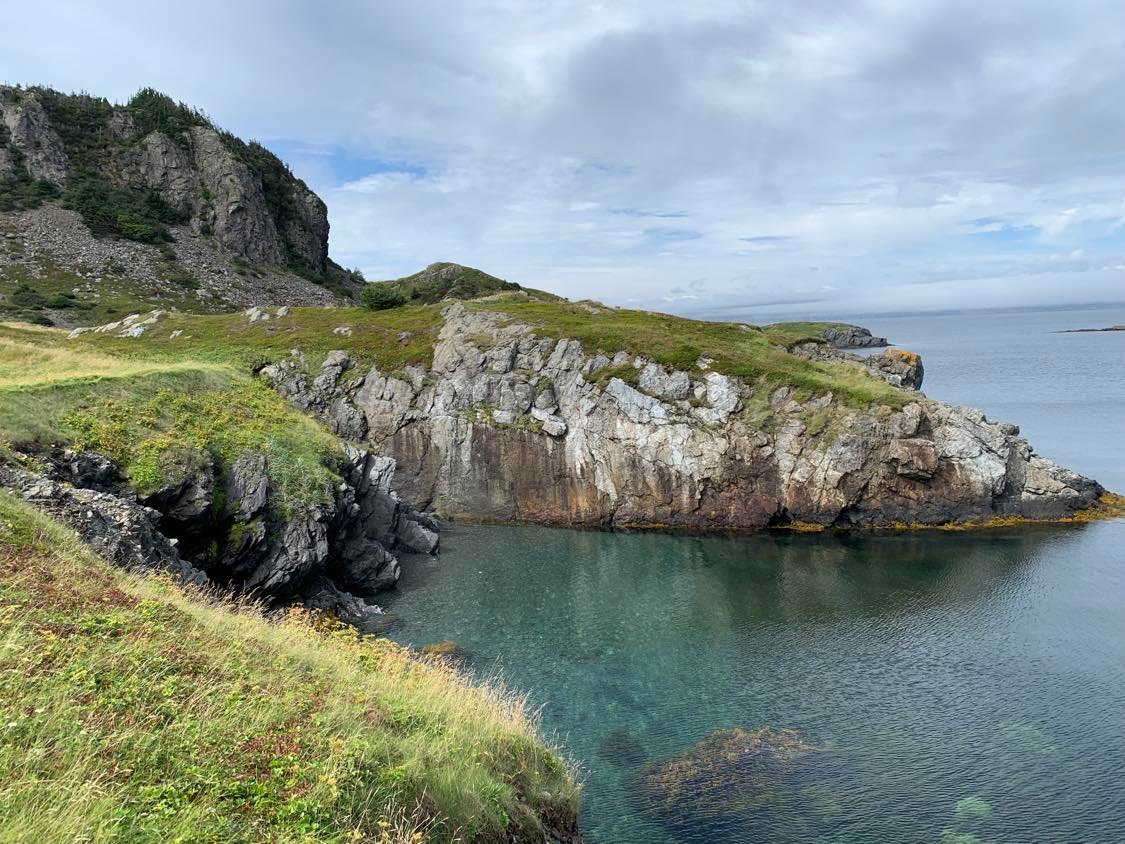 Cat Cove