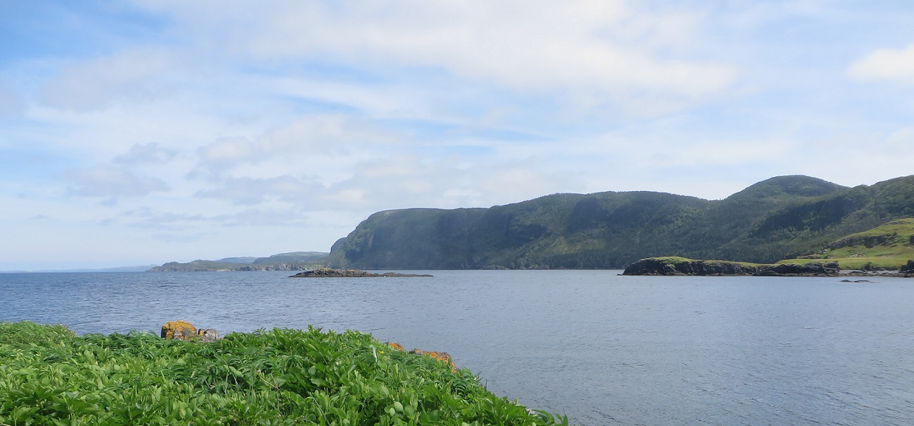 Fish Rock and Potato Point