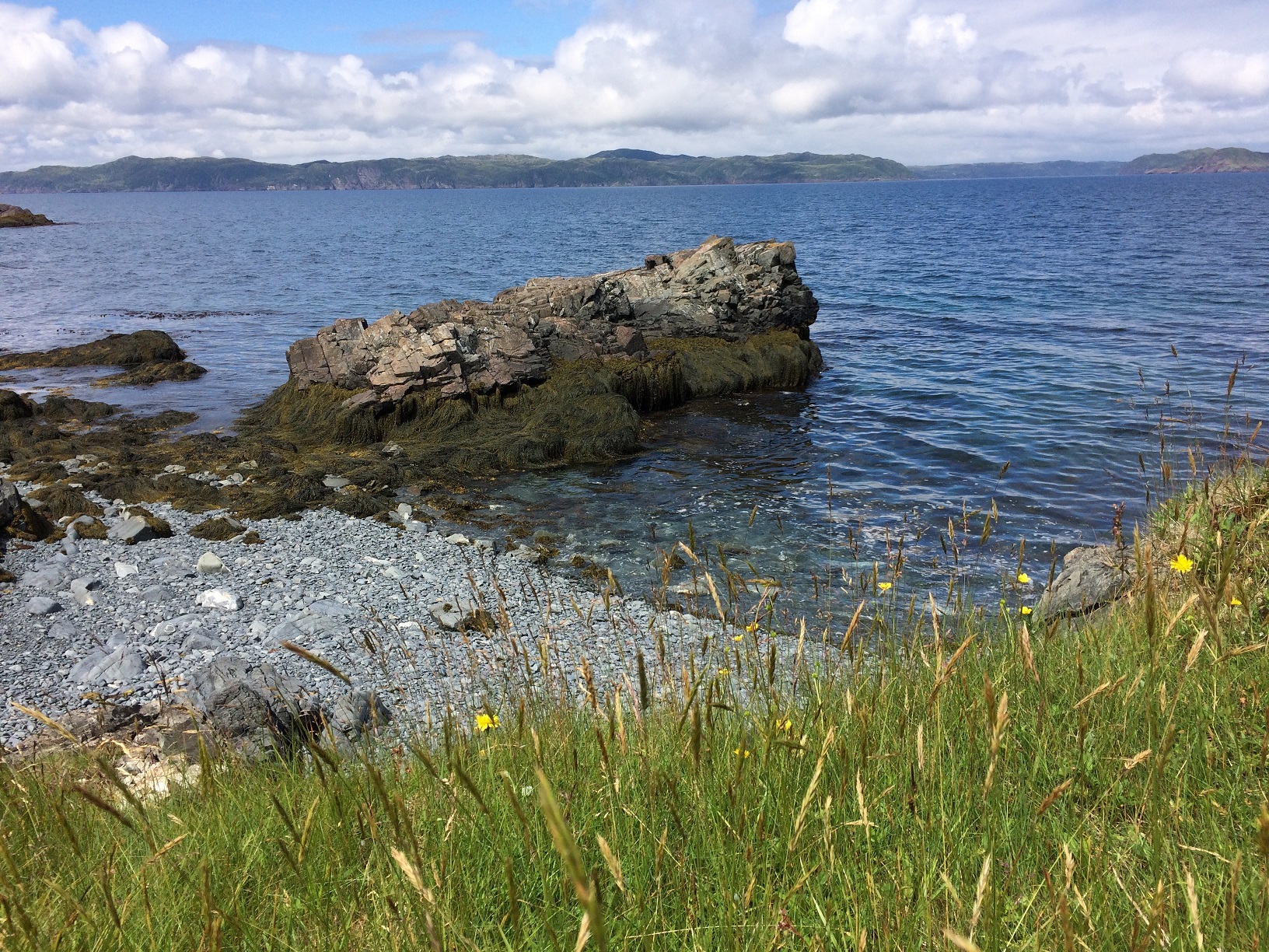 Iron rock in Paddys Cove