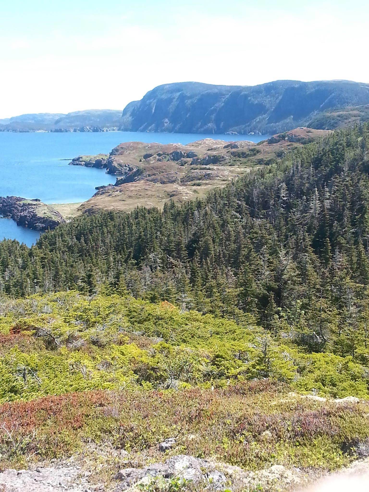 Margarets Cove Gulch