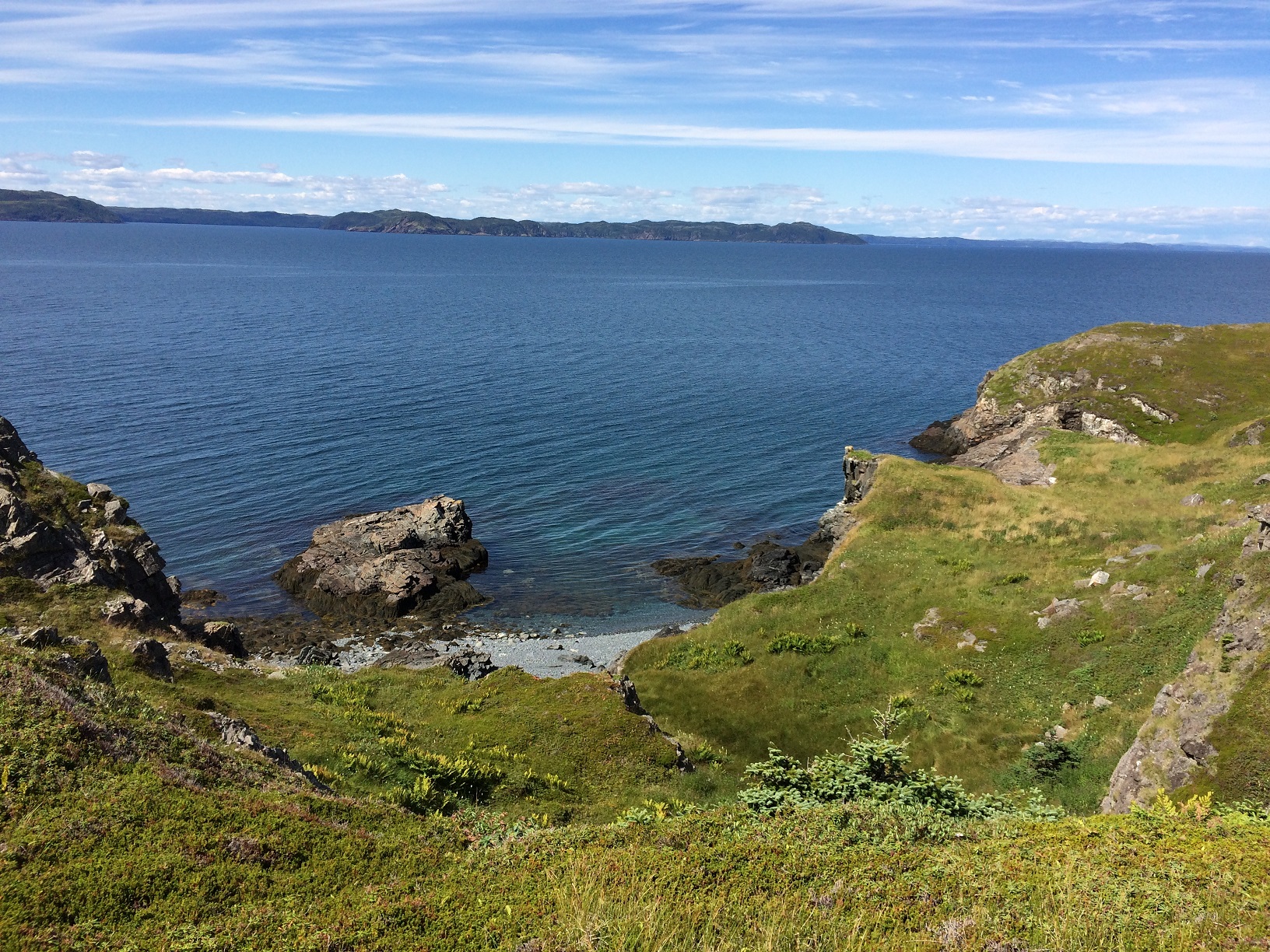 Paddys Cove