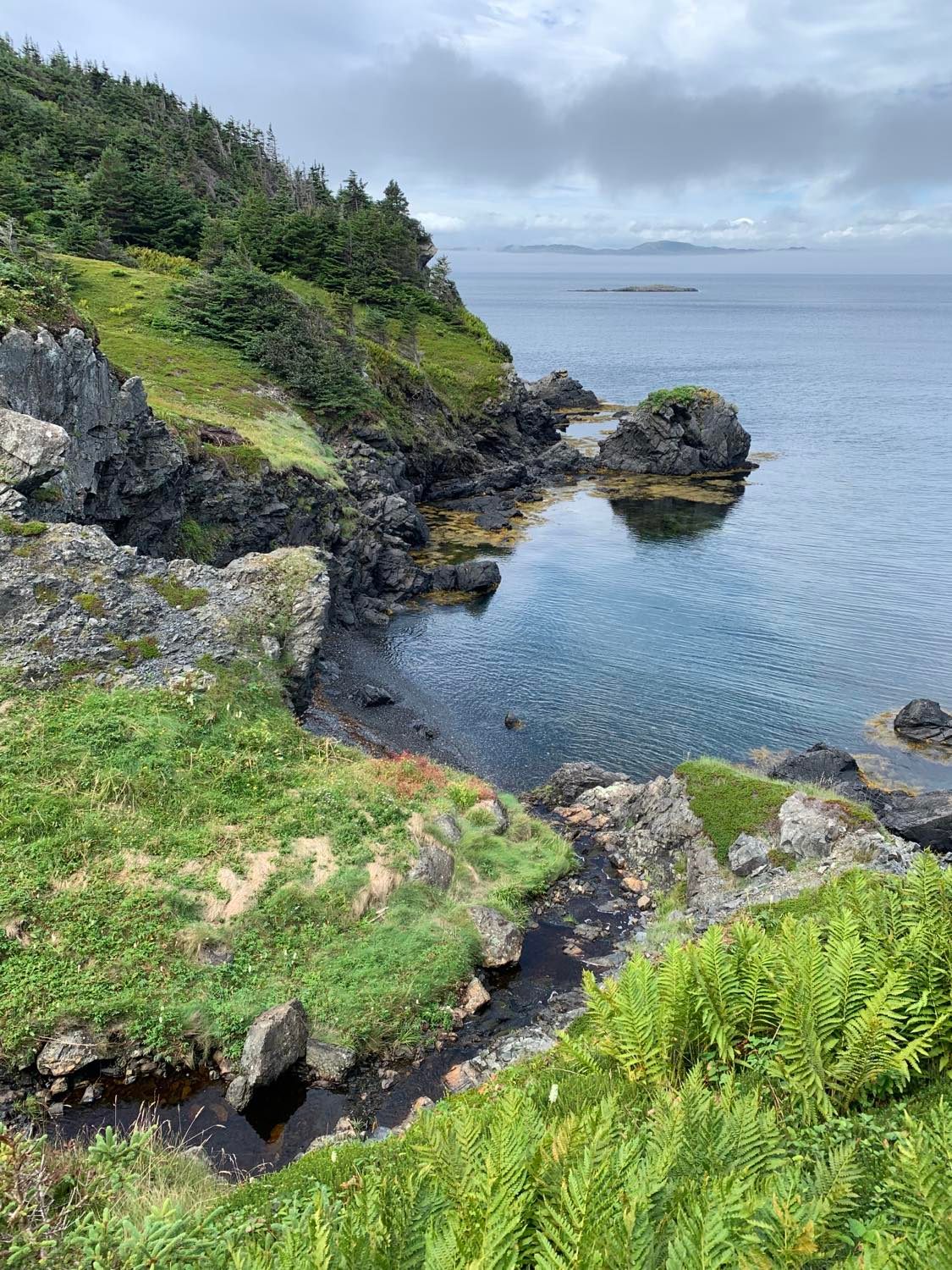 Watering Cove