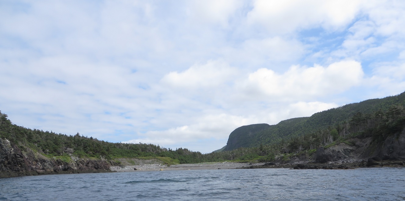 Wild Cove