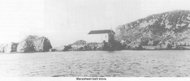 05 Bait store