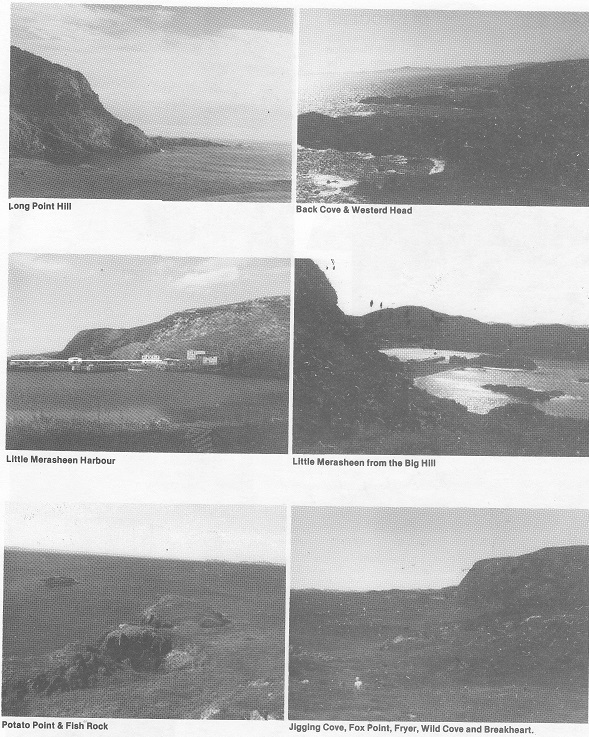 11 Various