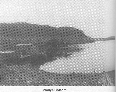 16 Phillys Bottom
