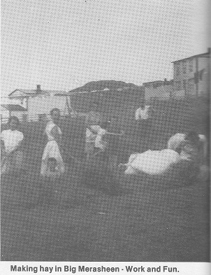 18 Making hay