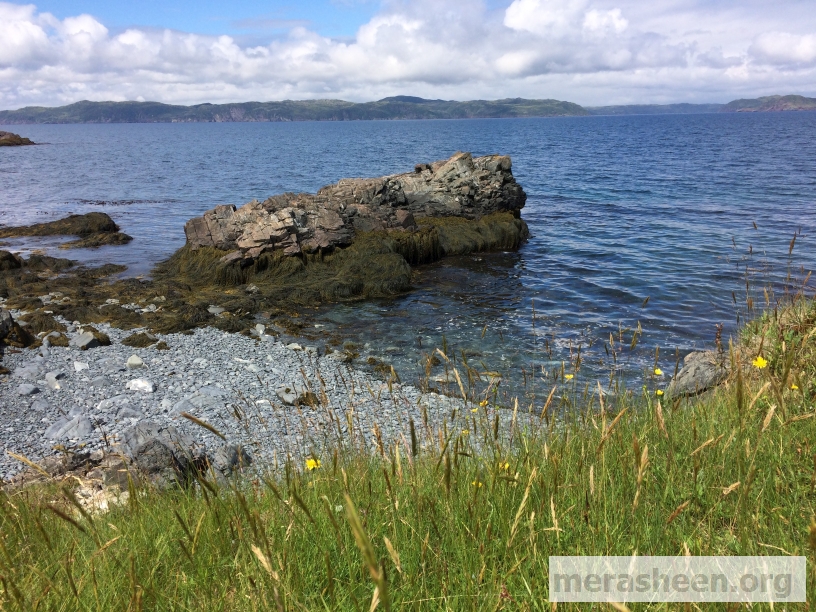 104 Paddys Cove and the Iron Rock