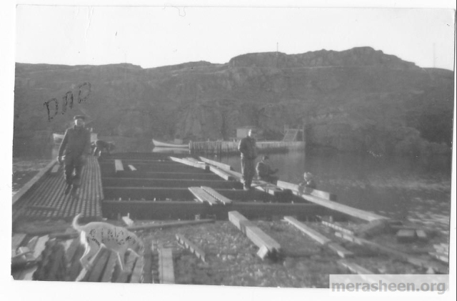 Building the Little Merasheen wharf around 1965.&amp;nbsp; It's cost: $57,000. Mike Ennis is on the left with his dog Ringo.&amp;nbsp; Across the harbour, Ron Pitcher's punt is moored to the breakwater.