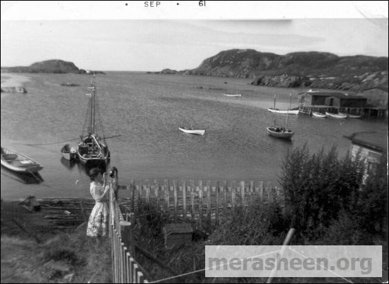 Rosemary (Walsh) Tobin playing with her cat in September 1961.&amp;nbsp; The schooner is most likely Eric Bolt's "Winnie and Eric". In the distance is the entrance to Big Merasheen harbour with the bait store on the left.&amp;nbsp; To the right are the Best fishing premises.