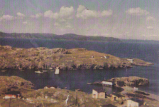 54 Little Merasheen. Top left green house is Jimmimmy Barrett, then out to Pitcher's Point is Mike Ennis' house and then Ron Pitcher's house and fishing premises. Coming back in the harbour is the breakwater built in the early 60s, Mike Ennis' stage and Jimmy Barrett's stage. At bottom left is Paddy Ennis' house, Johnny Ennis' stage, Hennessey's house, George (?) Wilson's stage on the Fender and some of the Wilson houses.